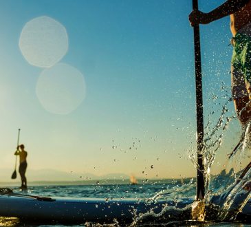 Stand up sup paddles